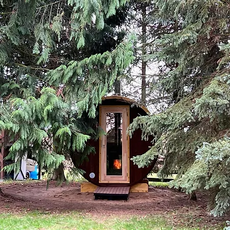 Waldidyll Laerz - Mit Kamin, Sauna Und Grossem Grundstueck *