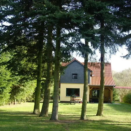 Ferienhaus Mirow-lärz- Ruhe Pur- Wald&see - Haus Mit Grundstück&wald