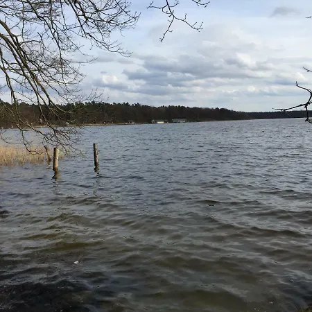 Mirow-laerz- Ruhe Pur- Wald&see - Sauna-haus Mit Grundstueck * Mirow