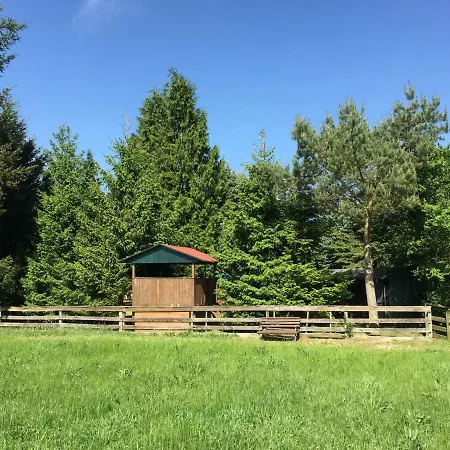Mirow-laerz- Ruhe Pur- Wald&see - Sauna-haus Mit Grundstueck Semesterbostad Mirow