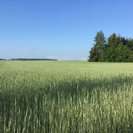 Ferienhaus Mirow-lärz- Ruhe Pur- Wald&see - Haus Mit Grundstück&wald Mirow