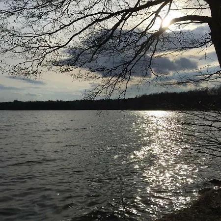 Ferienhaus Mirow-lärz- Ruhe Pur- Wald&see - Haus Mit Grundstück&wald *