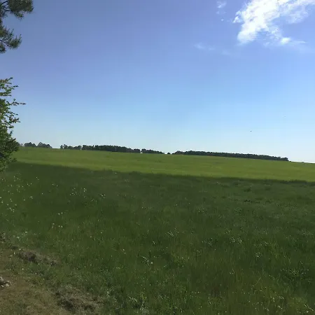 Mirow-laerz- Ruhe Pur- Wald&see - Sauna-haus Mit Grundstueck