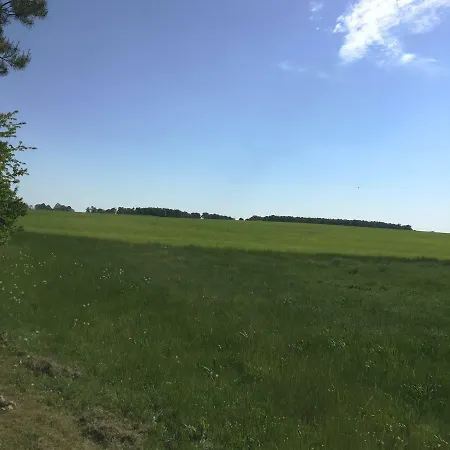 Waldidyll Laerz - Mit Kamin, Sauna Und Grossem Grundstueck