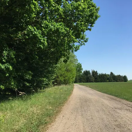 Ferienhaus Mirow-lärz- Ruhe Pur- Wald&see - Haus Mit Grundstück&wald Mirow