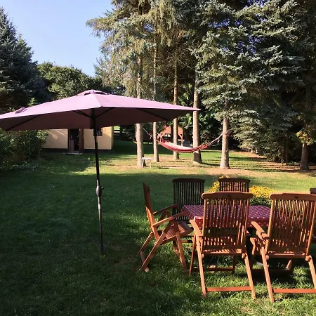 Mirow-lärz- Ruhe Pur- Wald&see - Haus Mit Grundstück&wald Ferienhaus Mirow