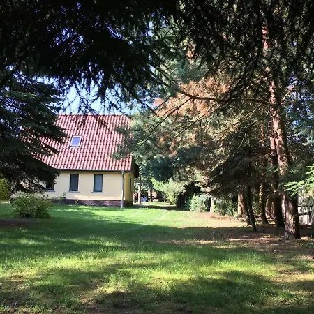 Ferienhaus Mirow-lärz- Ruhe Pur- Wald&see - Haus Mit Grundstück&wald Mirow