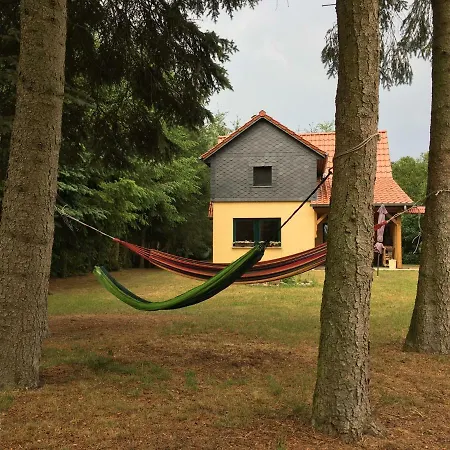Holiday home Mirow-laerz- Ruhe Pur- Wald&see - Sauna-haus Mit Grundstueck Mirow