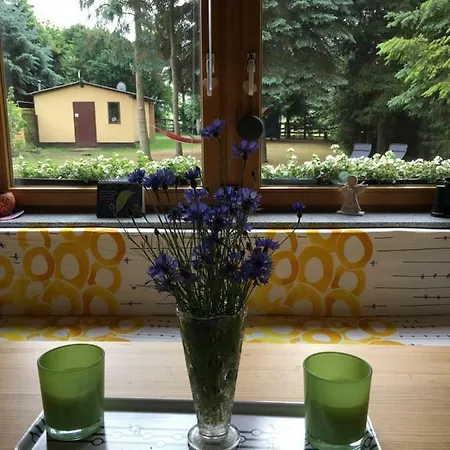 Ferienhaus Mirow-lärz- Ruhe Pur- Wald&see - Haus Mit Grundstück&wald *