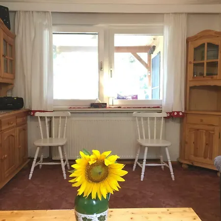 Mirow-lärz- Ruhe Pur- Wald&see - Haus Mit Grundstück&wald Ferienhaus *