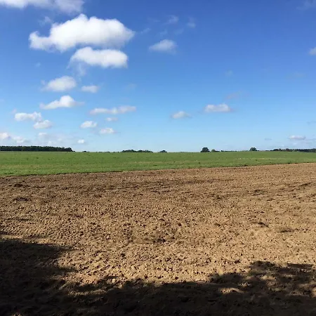 Mirow-lärz- Ruhe Pur- Wald&see - Haus Mit Grundstück&wald Mirow