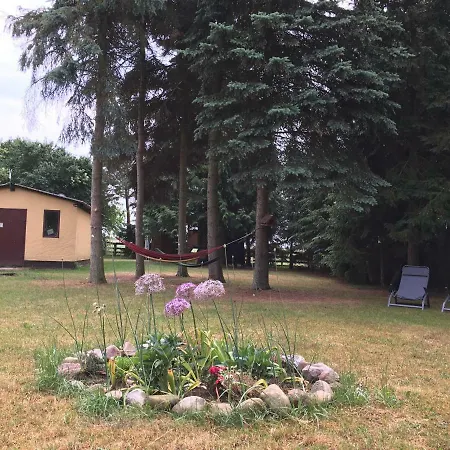 Waldidyll Laerz - Mit Kamin, Sauna Und Grossem Grundstueck *