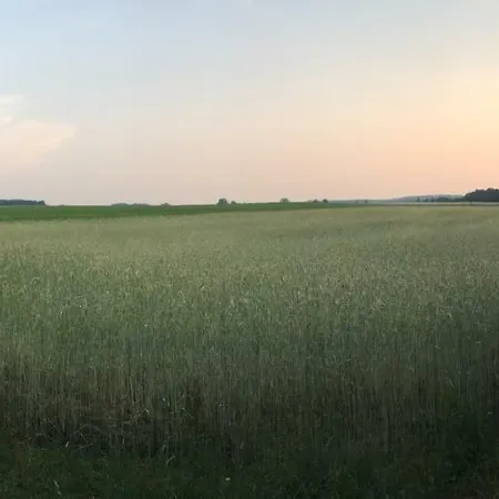 Mirow-lärz- Ruhe Pur- Wald&see - Haus Mit Grundstück&wald Ferienhaus Mirow