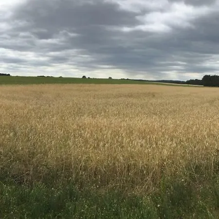 Mirow-lärz- Ruhe Pur- Wald&see - Haus Mit Grundstück&wald *