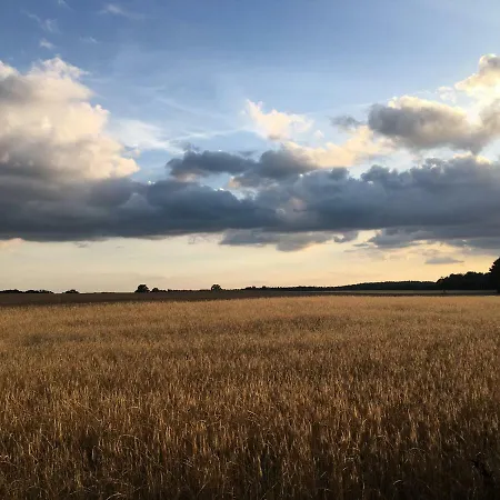 Waldidyll Laerz - Mit Kamin, Sauna Und Grossem Grundstueck Mirow