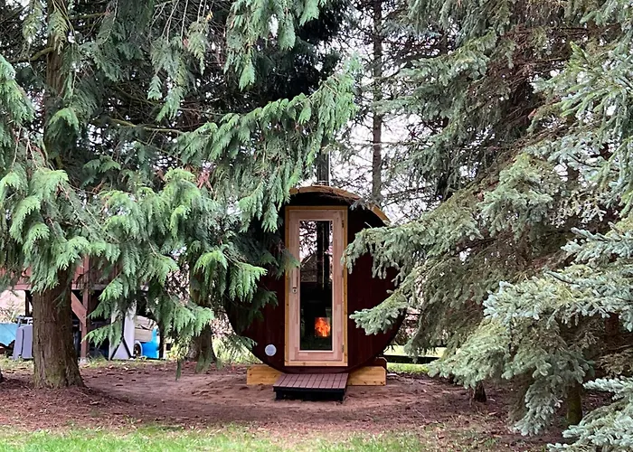 Mirow-laerz- Ruhe Pur- Wald&see - Sauna-haus Mit Grundstueck *