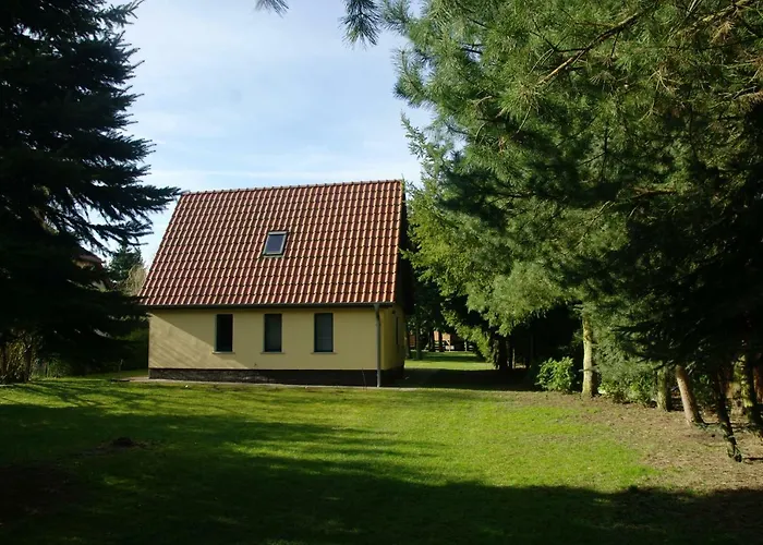 Mirow-laerz- Ruhe Pur- Wald&see - Sauna-haus Mit Grundstueck Mirow
