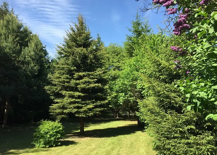 Feriehus Mirow-laerz- Ruhe Pur- Wald&see - Sauna-haus Mit Grundstueck *