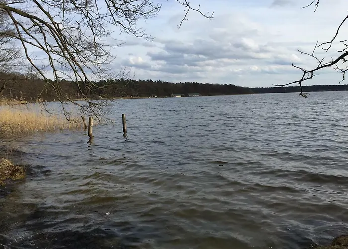 Mirow-laerz- Ruhe Pur- Wald&see - Sauna-haus Mit Grundstueck * Mirow