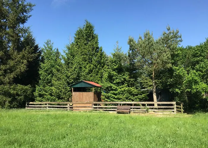Mirow-laerz- Ruhe Pur- Wald&see - Sauna-haus Mit Grundstueck Feriehus Mirow