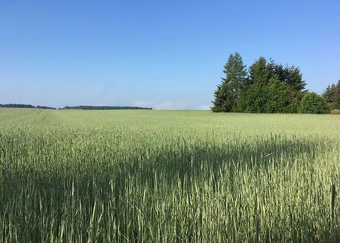 Feriehus Mirow-laerz- Ruhe Pur- Wald&see - Sauna-haus Mit Grundstueck Mirow