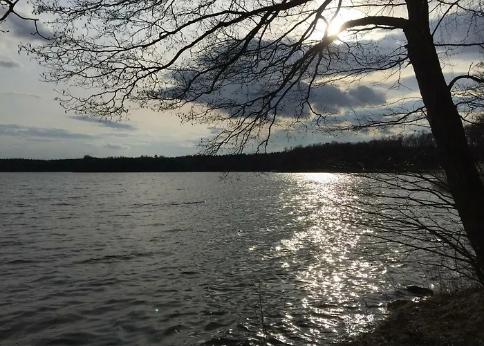 Feriehus Mirow-laerz- Ruhe Pur- Wald&see - Sauna-haus Mit Grundstueck *