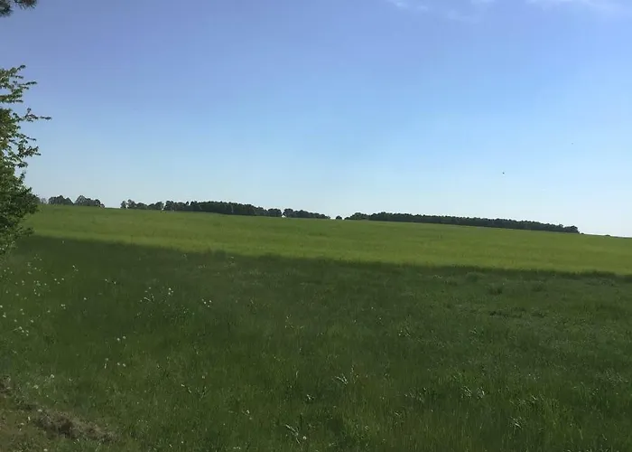 Mirow-laerz- Ruhe Pur- Wald&see - Sauna-haus Mit Grundstueck