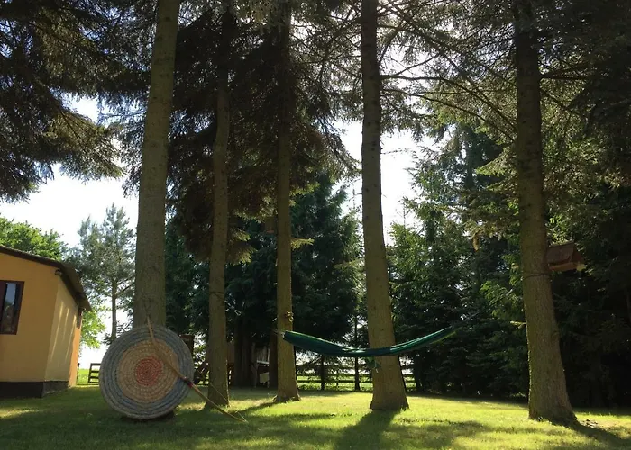 Mirow-laerz- Ruhe Pur- Wald&see - Sauna-haus Mit Grundstueck Feriehus *