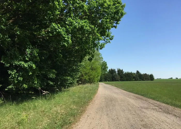 Feriehus Mirow-laerz- Ruhe Pur- Wald&see - Sauna-haus Mit Grundstueck Mirow