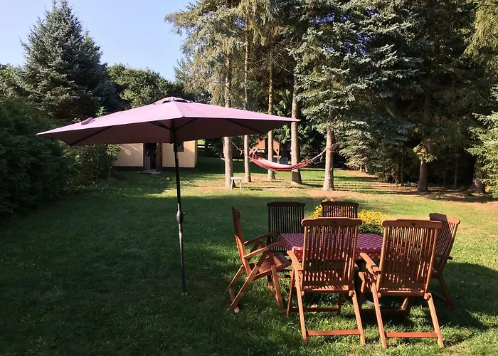 Mirow-laerz- Ruhe Pur- Wald&see - Sauna-haus Mit Grundstueck Feriehus Mirow