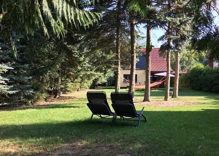 Mirow-laerz- Ruhe Pur- Wald&see - Sauna-haus Mit Grundstueck Feriehus Mirow