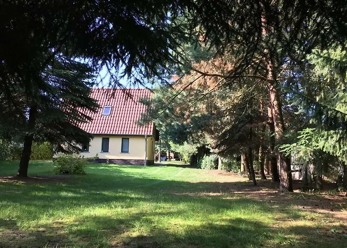 Feriehus Mirow-laerz- Ruhe Pur- Wald&see - Sauna-haus Mit Grundstueck Mirow