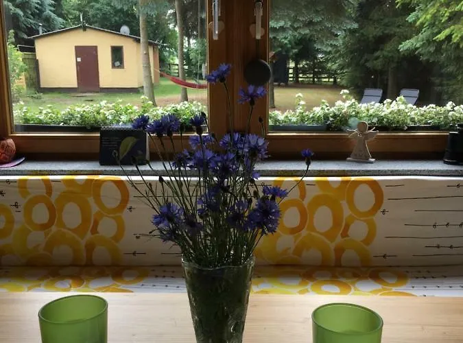 Feriehus Mirow-laerz- Ruhe Pur- Wald&see - Sauna-haus Mit Grundstueck *