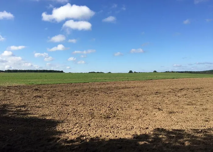 Mirow-laerz- Ruhe Pur- Wald&see - Sauna-haus Mit Grundstueck Mirow