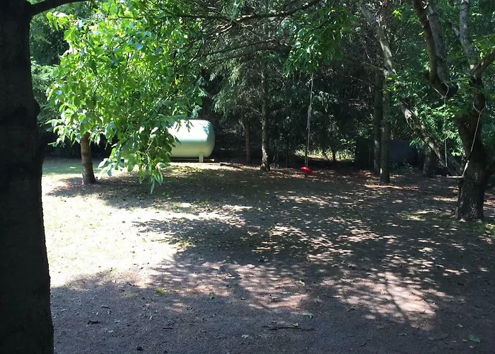 Feriehus Mirow-laerz- Ruhe Pur- Wald&see - Sauna-haus Mit Grundstueck