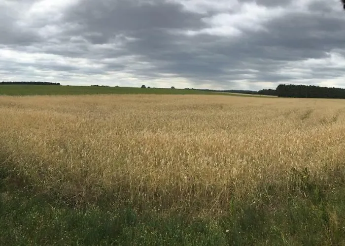 Mirow-laerz- Ruhe Pur- Wald&see - Sauna-haus Mit Grundstueck *