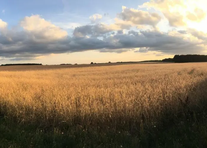 Feriehus Mirow-laerz- Ruhe Pur- Wald&see - Sauna-haus Mit Grundstueck *